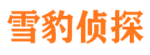 滦平市场调查